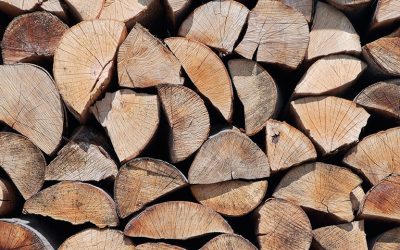 Kegro opent deuren naar duurzaam beleid