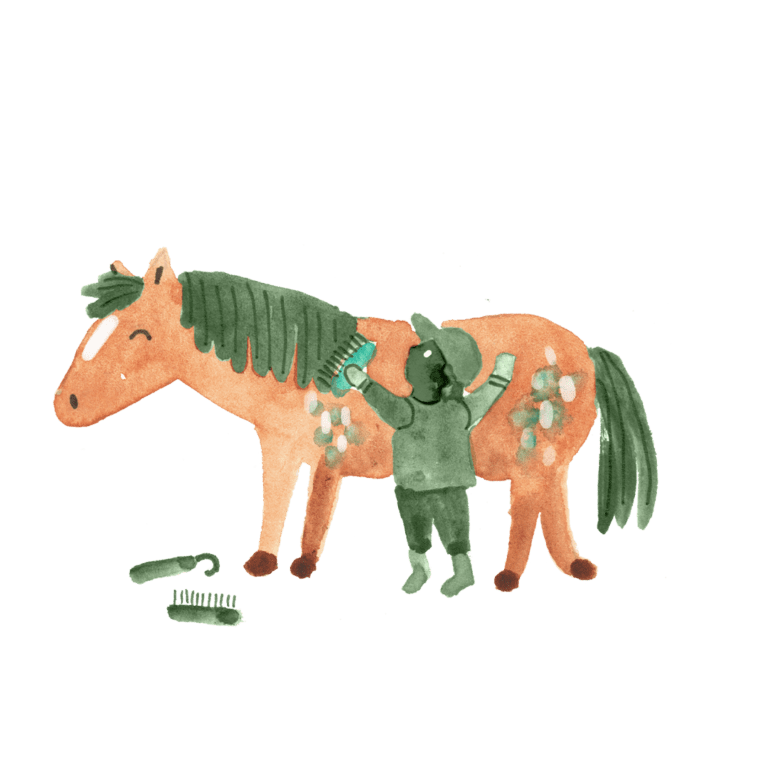 PAARDENKAMP_KIND_Illustratie_borstelen