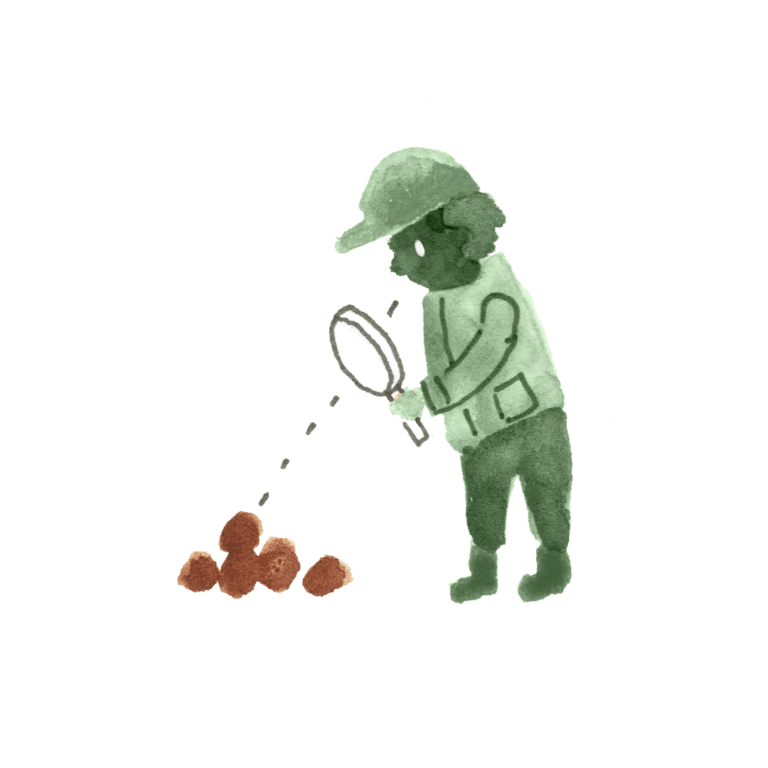 PAARDENKAMP_KIND_Illustratie_stront