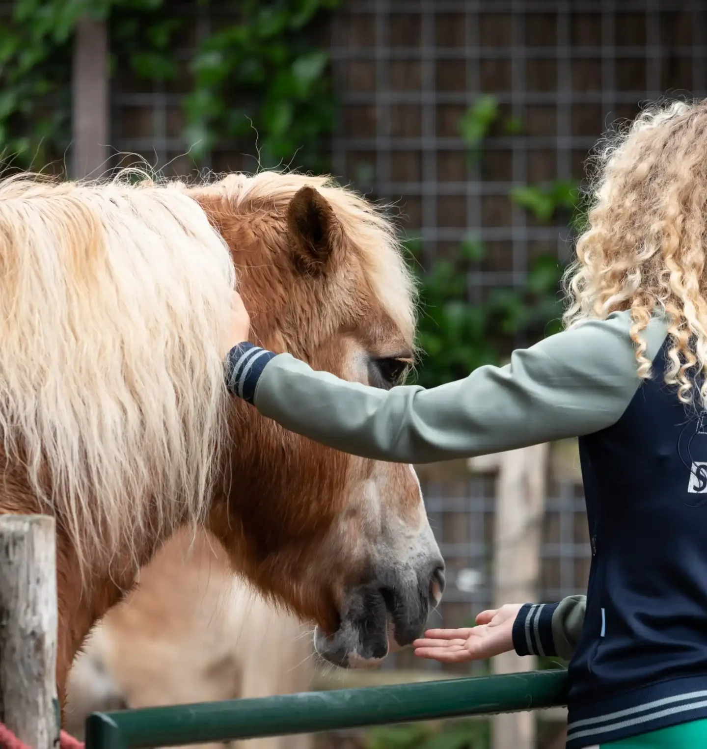 Stichtingdepaardenkamp_verjaardagsfeestje_kindenpaard