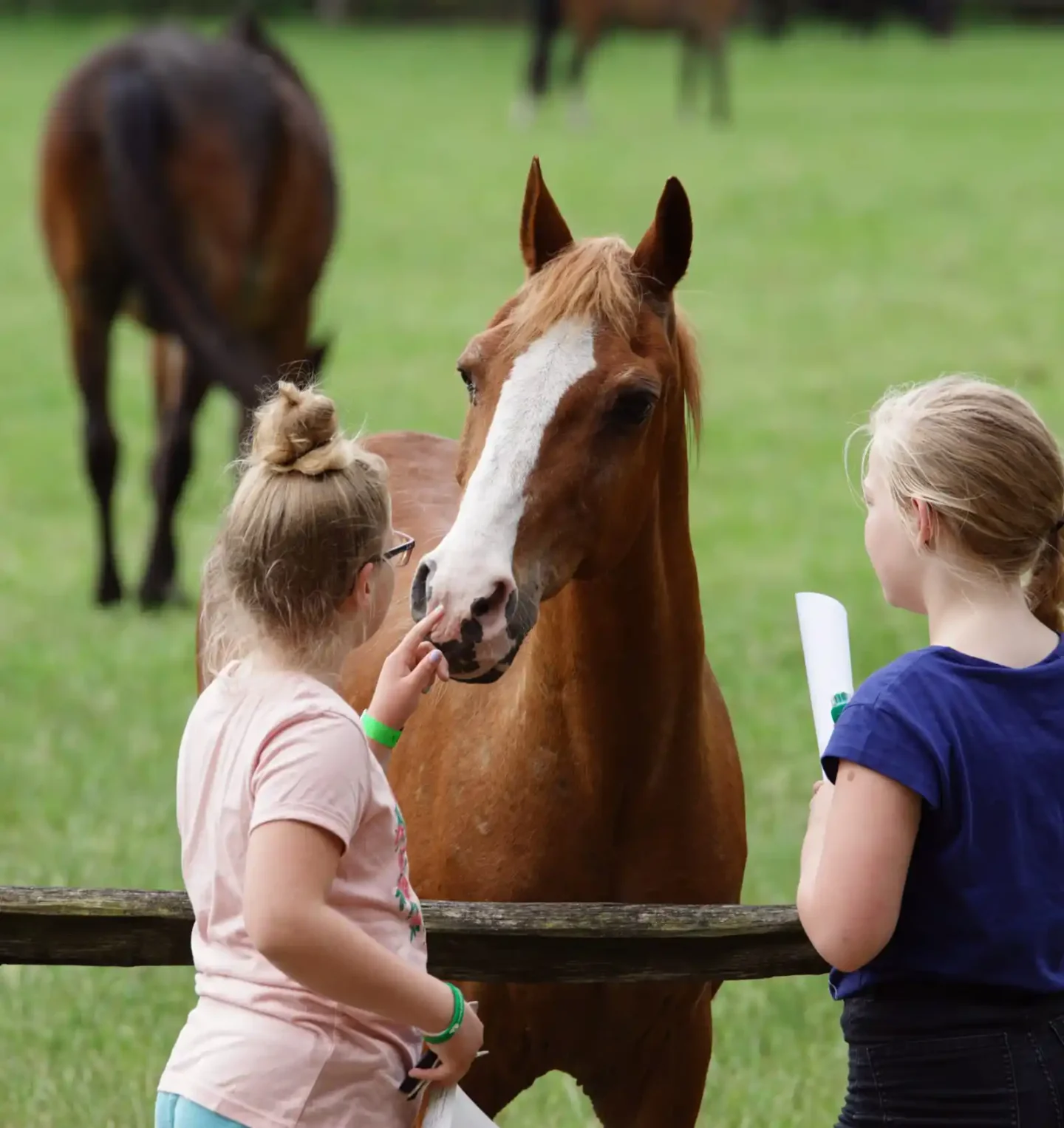 Stichtingdepaardenkamp_verjaardagsfeestje_kinderenbijpaard