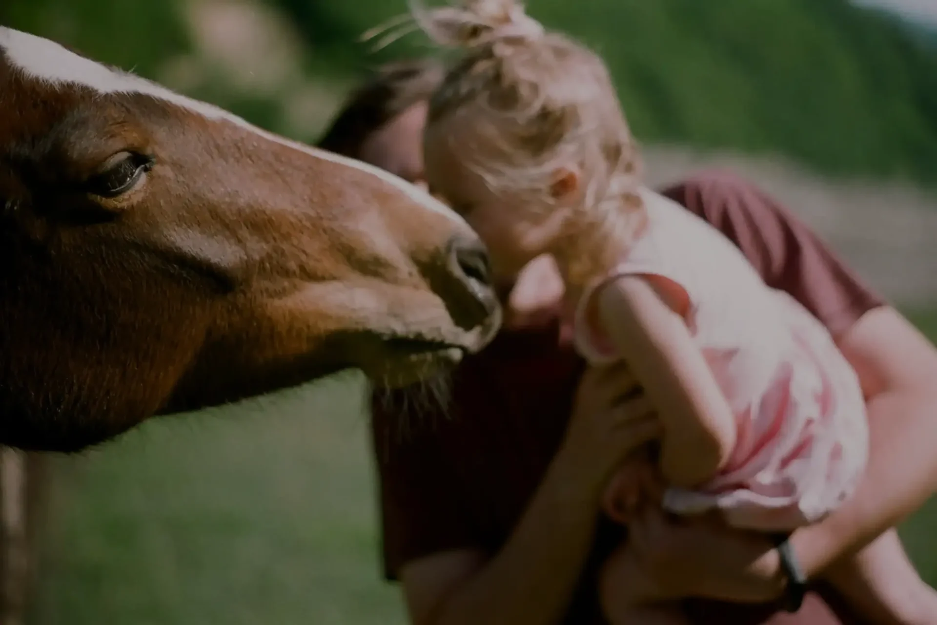 stichtingdepaardenkamp_home_paardenkind