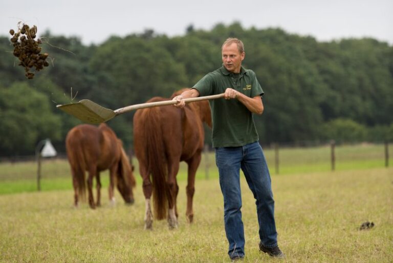 stichtingdepaardenkamp_overons_albert